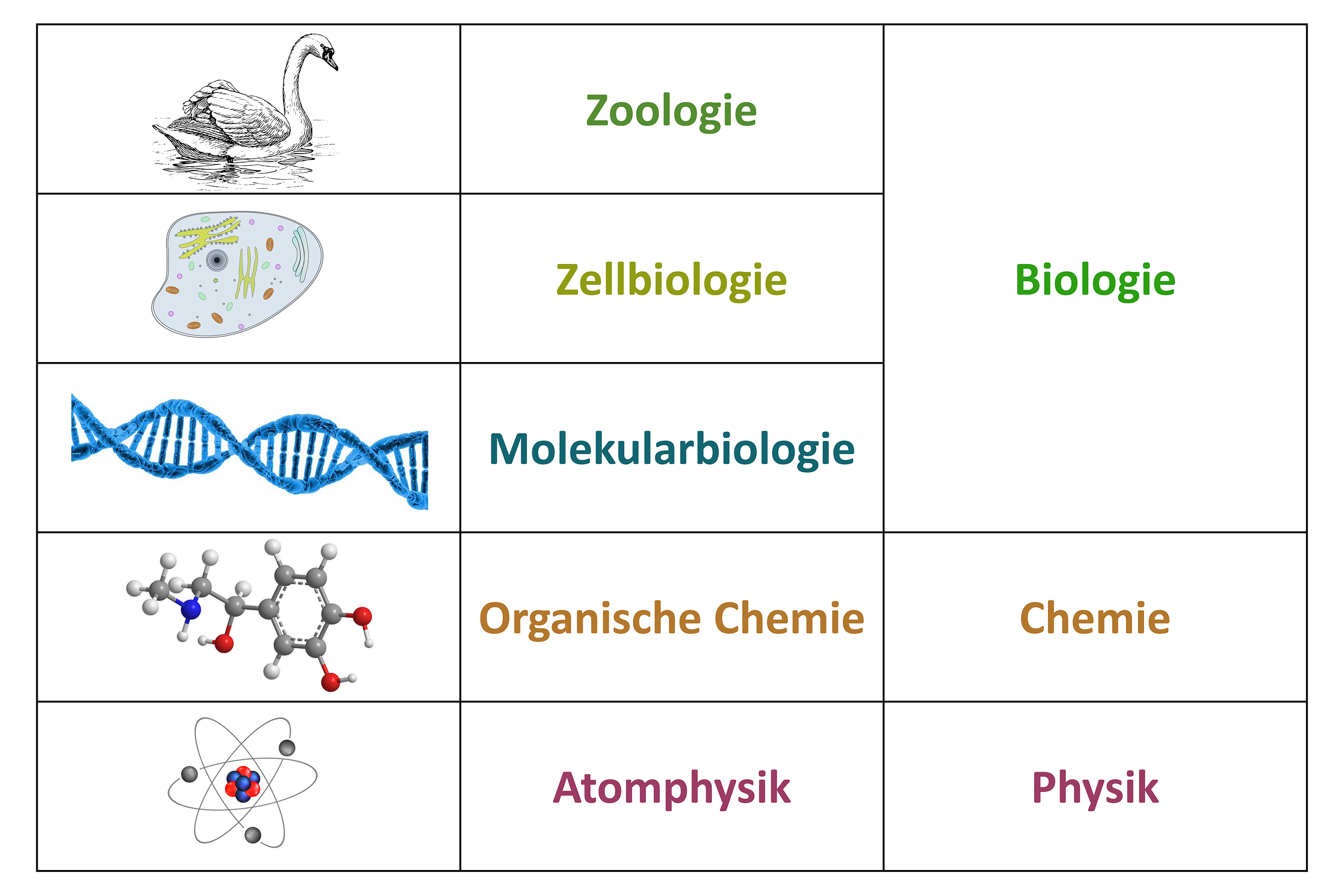 Naturwissenschaften als Schichtenmodell @